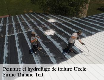 Peinture et hydrofuge de toiture  uccle-1080 Firme Thitane Toit