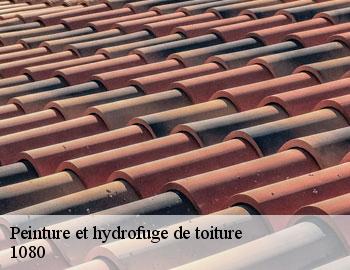Peinture et hydrofuge de toiture  uccle-1080 Firme Thitane Toit