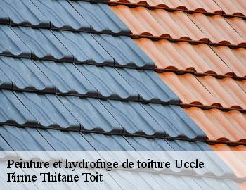 Peinture et hydrofuge de toiture  uccle-1080 Firme Thitane Toit