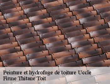 Peinture et hydrofuge de toiture  uccle-1080 Firme Thitane Toit