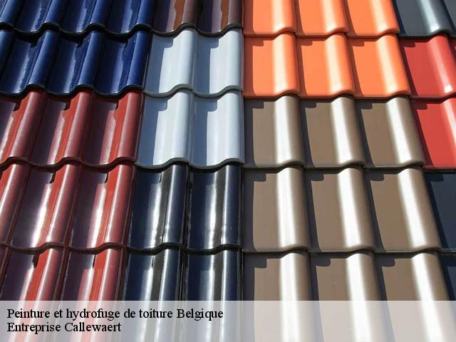 Peinture et hydrofuge de toiture Entreprise Callewaert