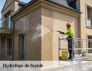 Hydrofuge de façade aarschot-3200 Firme Thitane Toit
