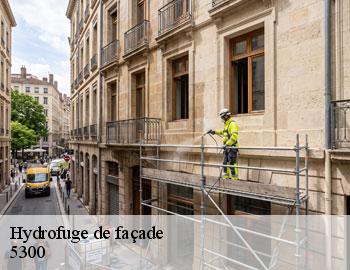 Hydrofuge de façade andenne-5300 Firme Thitane Toit