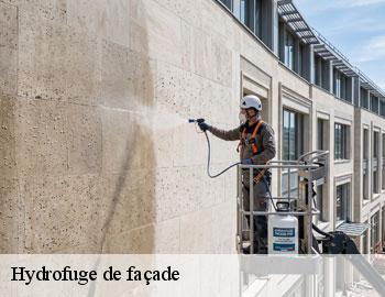 Hydrofuge de façade andenne-5300 Firme Thitane Toit