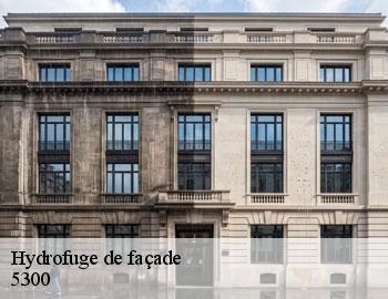 Hydrofuge de façade andenne-5300 Firme Thitane Toit