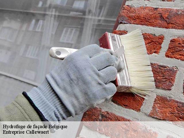 Hydrofuge de façade Entreprise Callewaert