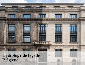 Hydrofuge de façade Firme Thitane Toit