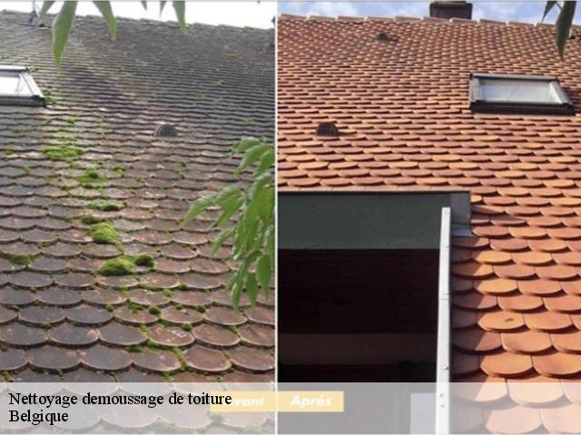 Nettoyage demoussage de toiture