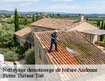 Nettoyage demoussage de toiture  andenne-5300 Firme Thitane Toit