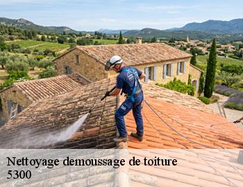 Nettoyage demoussage de toiture  andenne-5300 Firme Thitane Toit