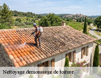 Nettoyage demoussage de toiture  andenne-5300 Firme Thitane Toit