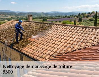 Nettoyage demoussage de toiture  andenne-5300 Firme Thitane Toit