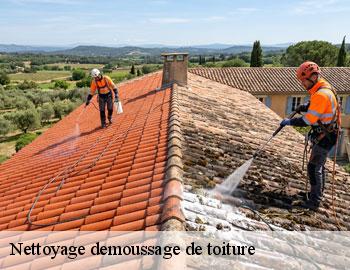 Nettoyage demoussage de toiture  andenne-5300 Firme Thitane Toit