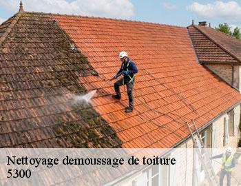 Nettoyage demoussage de toiture  andenne-5300 Firme Thitane Toit