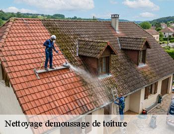 Nettoyage demoussage de toiture  andenne-5300 Firme Thitane Toit