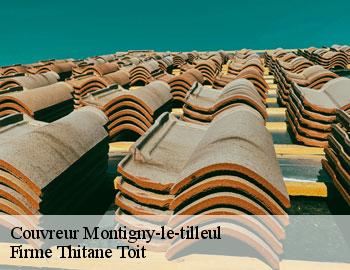 Couvreur montigny-le-tilleul-6110 Firme Thitane Toit