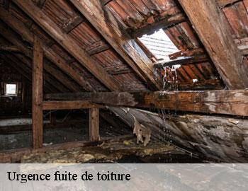Urgence fuite de toiture chievres-7950 Firme Thitane Toit