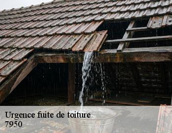 Urgence fuite de toiture chievres-7950 Firme Thitane Toit