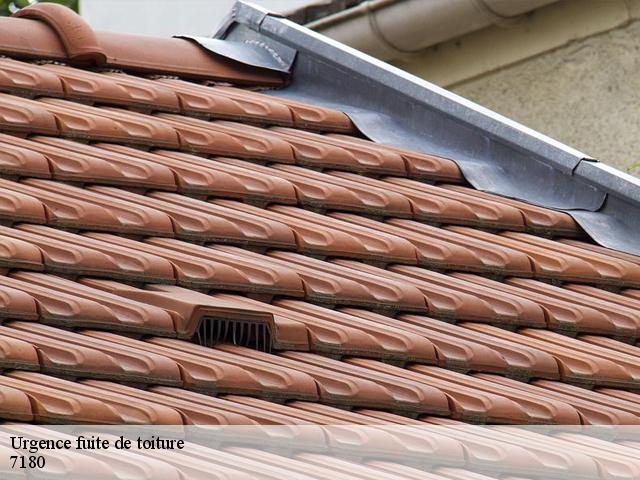 Urgence fuite de toiture 7180
