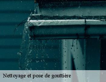 Nettoyage et pose de gouttière  chimay-6460 Firme Thitane Toit