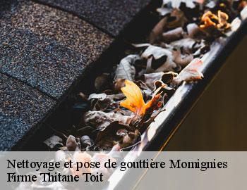 Nettoyage et pose de gouttière momignies-6590 Firme Thitane Toit