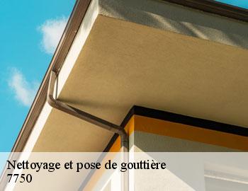 Nettoyage et pose de gouttière  mont-de-l-enclus-7750 Firme Thitane Toit