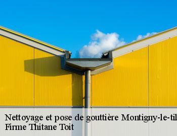 Nettoyage et pose de gouttière montigny-le-tilleul-6110 Firme Thitane Toit