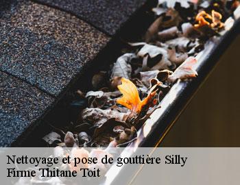 Nettoyage et pose de gouttière silly-7830 Firme Thitane Toit