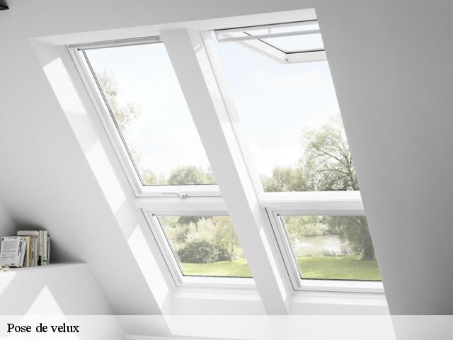 Pose de velux brunehaut-7620 Firme Thitane Toit