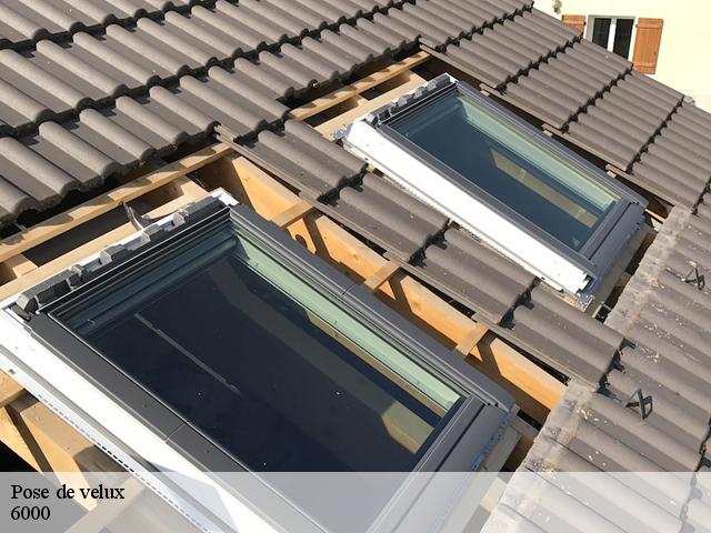 Pose de velux charleroi-6000 Firme Thitane Toit