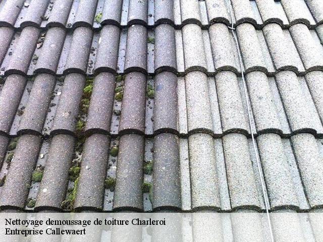 Nettoyage demoussage de toiture charleroi-6000 Entreprise Callewaert