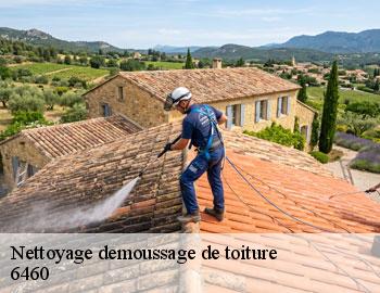 Nettoyage demoussage de toiture chimay-6460 Firme Thitane Toit