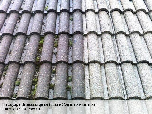 Nettoyage demoussage de toiture  comines-warneton-7780 Entreprise Callewaert