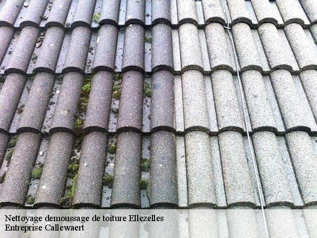 Nettoyage demoussage de toiture ellezelles-7890 Entreprise Callewaert