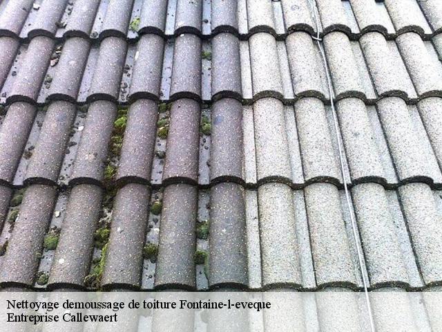 Nettoyage demoussage de toiture  fontaine-l-eveque-6140 Entreprise Callewaert