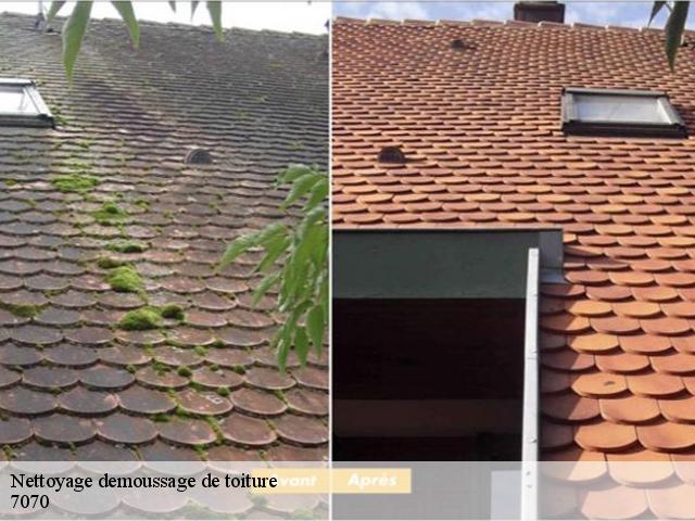 Nettoyage demoussage de toiture 7070