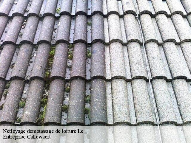 Nettoyage demoussage de toiture le-7070 Entreprise Callewaert