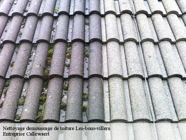 Nettoyage demoussage de toiture  les-bons-villers-6210 Entreprise Callewaert