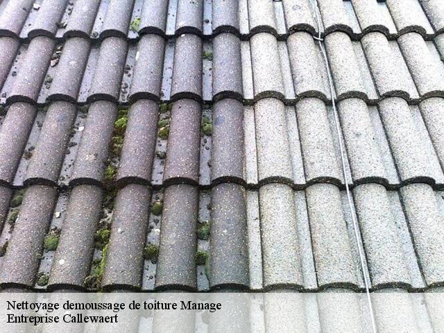 Nettoyage demoussage de toiture  manage-7170 Entreprise Callewaert